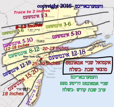 Predicted /actual amounts