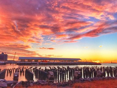 ברוקלין ברידזש פארק