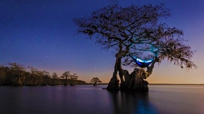 HammockCypress_EN-US9599723189_1920x1080.jpg
