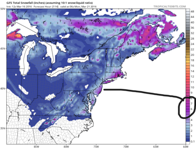 American model snow amounts