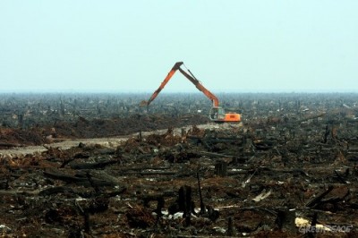 די לעצטע ביימער וועלן פארשוואונדן ווערן בערך אין יאר 2050