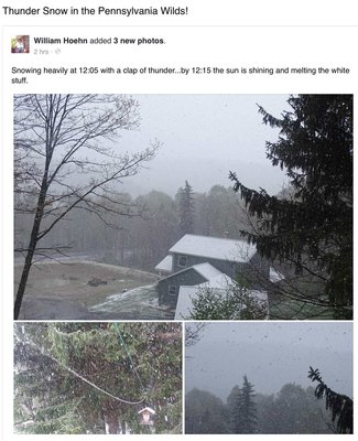 שניי אין די בערג פון פענסלעוועניא