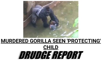 2016-05-30 16.49.36.jpg