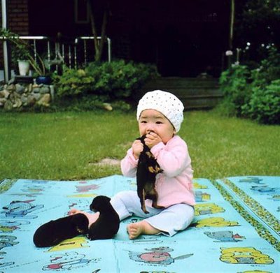 תינוק עם כלבים.jpg