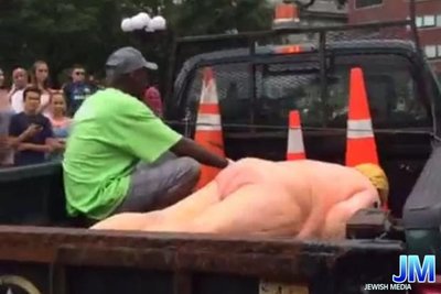 טראמפ אוועקגעפירט