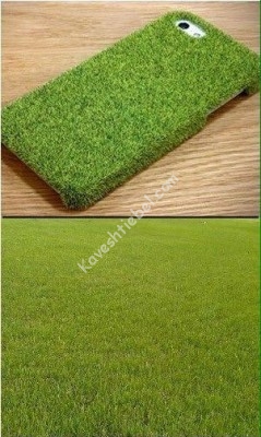 די גנב אין קאנטרי זאל נישט קענען טרעפן די פאון..