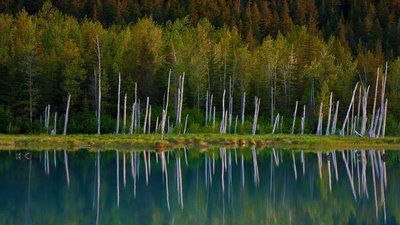 PortageValley_EN-US8340194401_1920x1080.jpg (338.46 KiB) געזען געווארן 4889 מאל PortageValley_EN-US8340194401_1920x1080.jpg