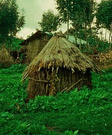 ביידלעך וואו די פאלאשן פרויען זענען געגאנגען בימי נדתן