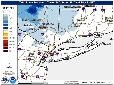 שניי נאו יארק סטעיט