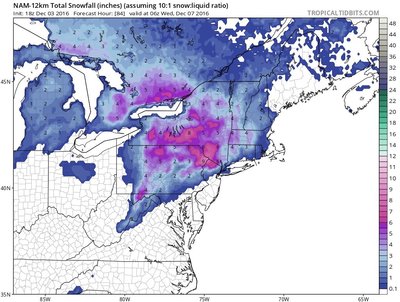 מעגליכע שניי שמואנטס לויט דער nam מאדעל
