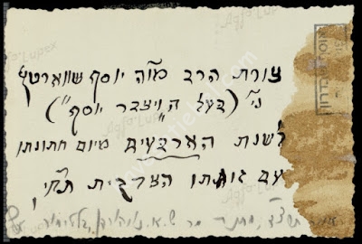 Yosef Schwartz unedited flip side.jpg