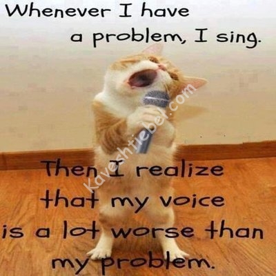 catschoir.jpg (107.57 KiB) געזען געווארן 2414 מאל catschoir.jpg