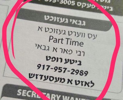 מחפשים רבי לגבאי.jpg
