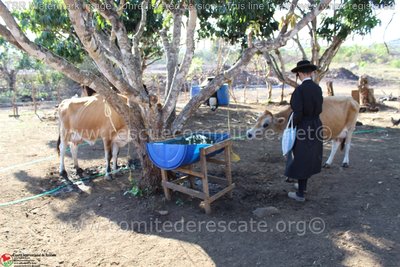 ביי די מעלק