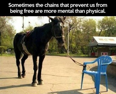horse-tied-to-plastic-chair-mental-chains.jpg