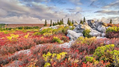 DollySods_EN-US9021857432_1920x1080.jpg