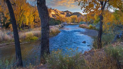 RioGrandeCottonwood_EN-US10685052962_1920x1080.jpg