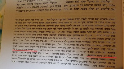 מראה מקום שד''ח.jpg