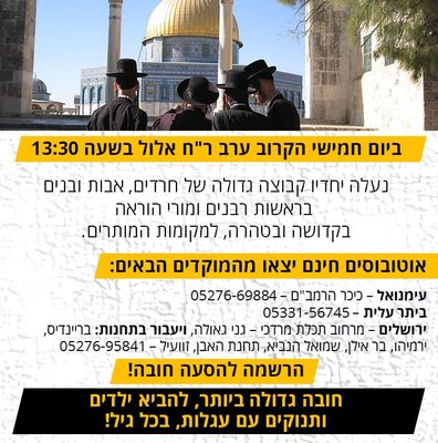 עליית חרדים אב תשעח.jpeg