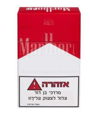 מרדכי בן דוד עלול לצעוק עליך.jpg