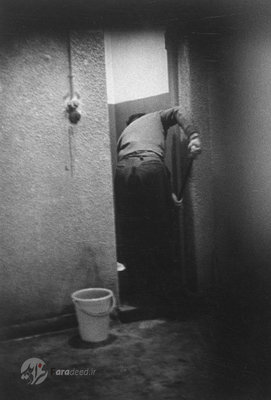 רייניגט זיין צעל