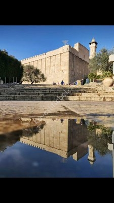 מערת המכפלה השתקפות.jpg