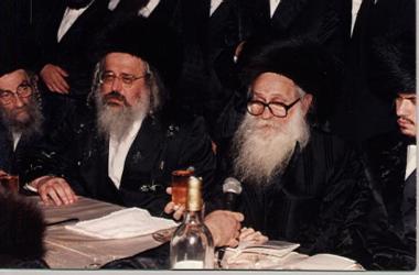 עם האדמו_ר ממונקאטש.jpg