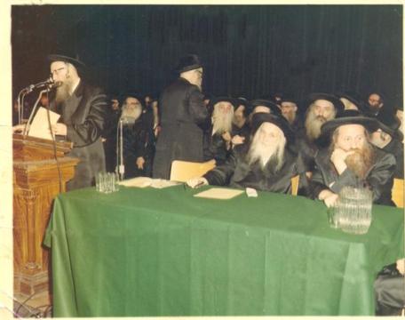 בעצרת עם דודו רביה_ק. ביים מייקרפאן פאלטשאנער רב.jpg