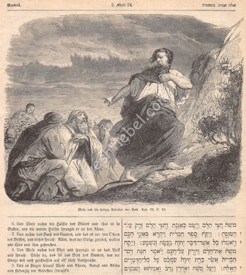 427 (26-01-2022).jpg