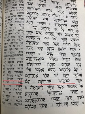 תרגום. לא ידעו למידחל. נישט געהאט קיין יראת ה׳