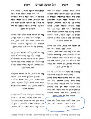 דגל מחנה אפרים.jpg