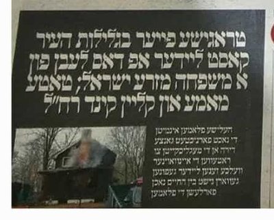 WhatsApp Image 2023-02-25 at 9.38.08 PM.jpeg