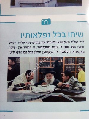 בילד אין 'מאמענט'