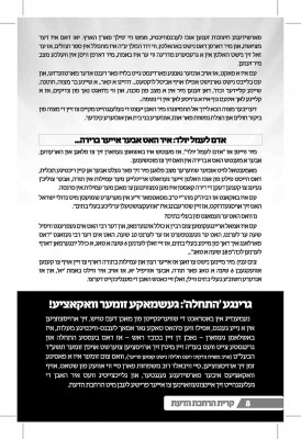 אברכים פלייער_Page_09.jpg