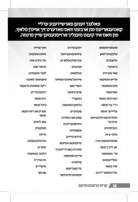 אברכים פלייער_Page_13 (1).jpg