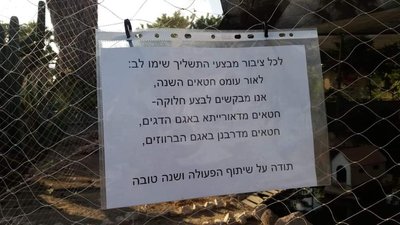 בשל ריבוי החטאים השנה - מחלקים בין חטאים דאורייתא ודרבנן.jpeg