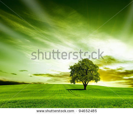 stock-photo-green-landscape-94652485.jpg