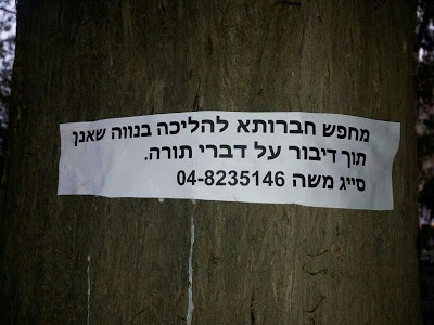 מחפש חברותא.jpg