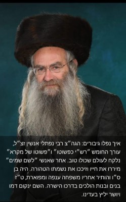 WhatsApp Image 2024-03-06 at 2.46.31 PM.jpeg