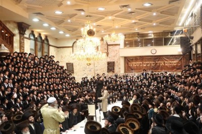 בידערמאן שטריימל טשילאר.jpg