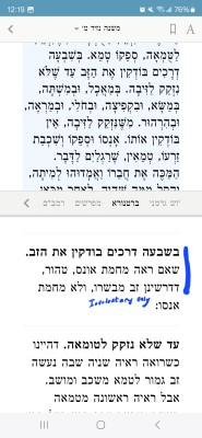 Screenshot_20240421_001942_Sefaria.jpg