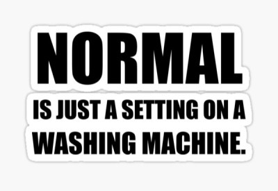 Normal is just a setting.jpg