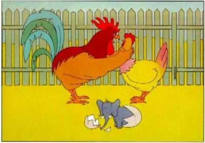 7, Humor - Hen's Baby.jpg