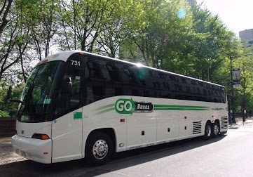 פיינע קאטש באסעס