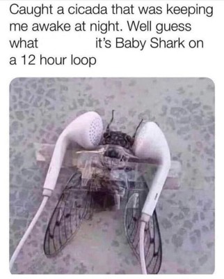 WhatsApp Image 2024-06-29 at 14.28.11_7cb53e8d.jpg