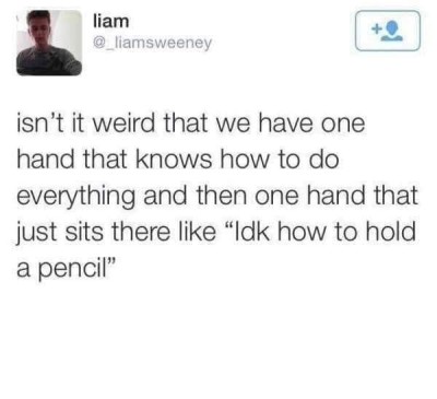 WhatsApp Image 2024-06-30 at 03.42.24_3f02121f.jpg