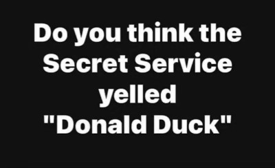 Donald duck.jpg