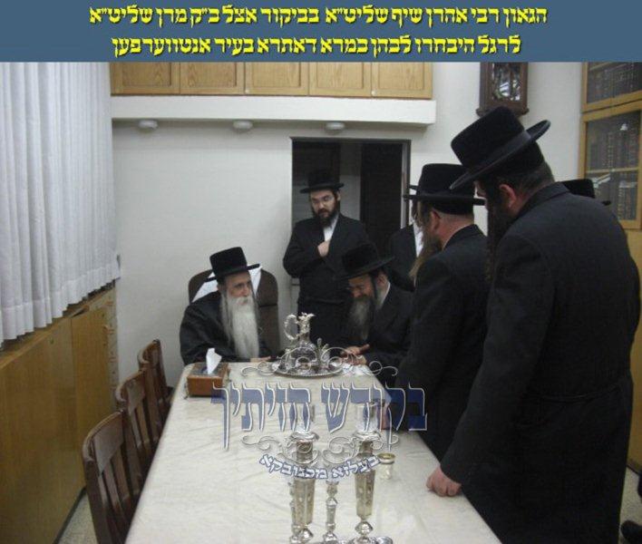 אנטווערפען רב ביי מחנובקיא רבי