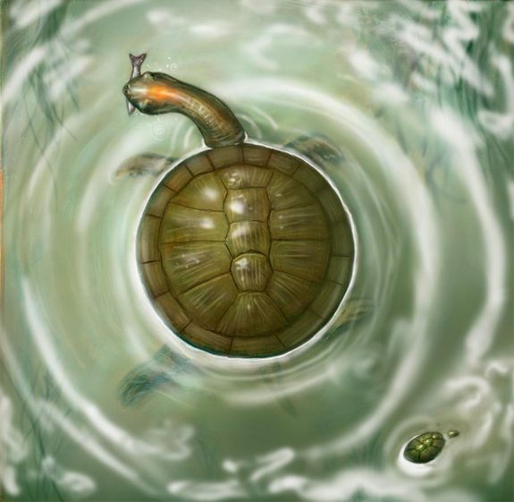 giant-round-turtle.jpg