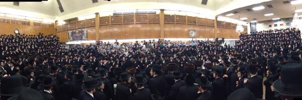 חלק עולם אין בהמ'ד.